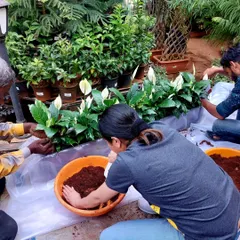 Our hands-on approach means we get everything just right. Our team is preparing a long planter with Peace Lilies, a great solution for creating a lush green border on a balcony or patio.