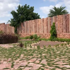 Another view of the Jodhpur project, showing how the stone wall and patterned ground create a strong visual texture. The plants are still young here, and they will gradually soften the space and add more character as they mature.