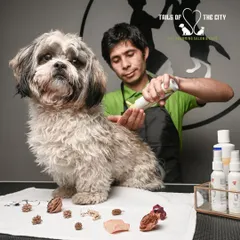 We take great care during our tick and flea treatments, ensuring the product is applied correctly for maximum effectiveness while keeping your pet comfortable.