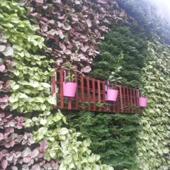 A close look at the textures and colors of a living wall. I used a variety of plants to create this pattern and integrated a small wooden trellis with pots for a custom, personal touch.