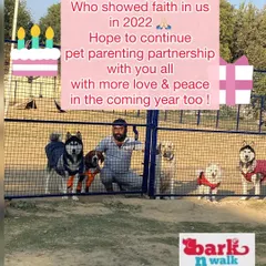 As another year passes, I'm so thankful for the trust you place in me. It is an honor to be part of your pet parenting journey and to care for these wonderful dogs.