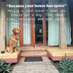 "Because my house has a big yard." A yard is not a substitute for walks, training, and mental stimulation. Dogs need your time and effort, not just space.