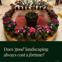 I believe beautiful landscaping should be accessible. This image addresses the common concern about cost, reinforcing my commitment to providing top-notch, affordable solutions that bring your dream garden to life without breaking the budget.