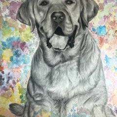 This piece combines two styles: a detailed pencil sketch of a Labrador set against a vibrant, abstract watercolor background. It’s a unique way to create a memorial pet portrait.