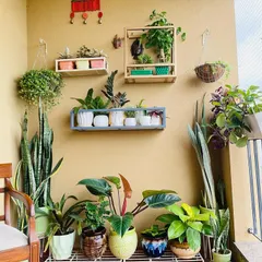 Another angle of the balcony makeover, showing how we used wall shelves and a simple metal stand to display smaller plants. This declutters the floor and allows each plant to get the light it needs.