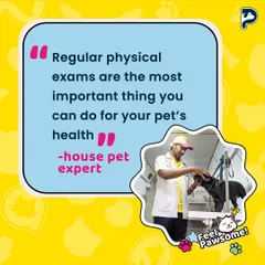 Regular physical exams are crucial for catching health issues early, since pets can't tell us when something is wrong. This is why our 'Vet on Wheels' service is so important, allowing for a thorough check-up in a familiar environment where your pet feels safe.