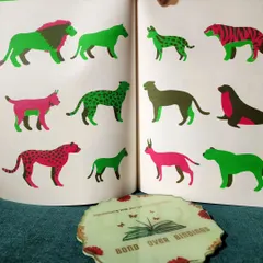 This visual puzzle book is fun for all ages. The simple graphics and clever groupings make it a delightful and thought-provoking read.