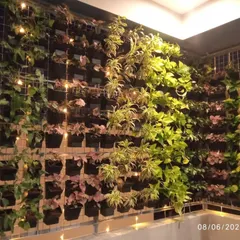 Another angle of the lit vertical garden, showing the density of the planting. These living walls not only look stunning but also help improve air quality and reduce noise.