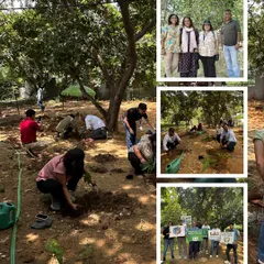 More scenes from our massive plantation drive with the Genpact team, showing dozens of volunteers digging, planting, and working together to reforest the area.