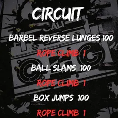 Here are the movement standards for The OG 300 competition. We're strict on form, from the back knee touching the ground on lunges to full extension on box jumps. No shortcuts to glory.