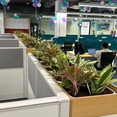 Another angle of the office installation, showing how the continuous line of plants creates a natural and refreshing look throughout the workspace. This helps make the office feel more calm and productive.