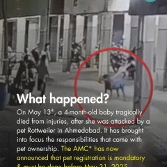 Following a tragic incident, the Ahmedabad Municipal Corporation (AMC) made pet registration mandatory. We break down the event to highlight the responsibilities of pet ownership.
