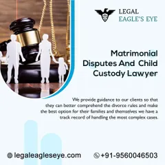 We offer comprehensive guidance on matrimonial disputes and child custody rules. Our goal is to help you understand your options and make the best decision for your family's future.