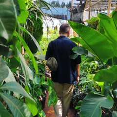 Walking through the jungle be like. This is what it feels like to wander through the aisles of our nursery, surrounded by green.