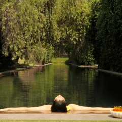 Your wellness journey with us extends beyond the treatment room. Here, you can find your moment of peace, relaxing by our tranquil lake after a rejuvenating spa session. It is this connection with nature that makes the experience at Aheli Spa truly complete.