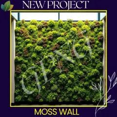 A render of a preserved moss wall designed for a hospital in Delhi. These zero-maintenance green walls improve air quality and provide a calming, biophilic element to healing environments.