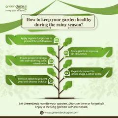 This infographic provides five key tips for keeping your garden healthy during the rainy season, from ensuring proper drainage to applying organic fungicides.
