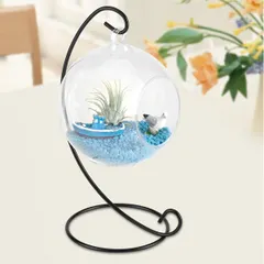 This hanging glass bowl terrarium, complete with an iron frame, is a stylish and self-contained home for small plants. The design shown here features a miniature boat and blue pebbles, creating a tiny, serene beach scene.