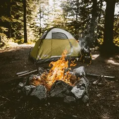A simple, classic forest campsite. A sturdy tent is pitched in a clearing, with a stone-ringed campfire crackling nearby. This is about getting back to basics in a beautiful, secluded woodland setting.