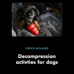 Decompression activities are crucial for helping a stressed dog. This is one of the key topics I cover in my Diwali workshop to help your dog cope with the festive season.