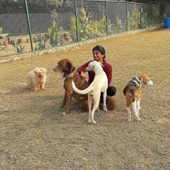 Surrounded by a diverse pack of dogs, Asha sits calmly as they gather around her. This image showcases her ability to be a grounding presence for multiple dogs at once, each one feeling seen and respected in the group.