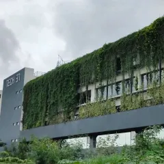 The wild has officially taken over. This image captures the sheer density of the vertical garden, a testament to a design that allows nature to express itself fully within an urban architectural project.