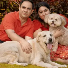 A complete family portrait. This shot brings everyone together, a happy couple with their Golden Retriever and Lhasa Apso mix, creating a memory they can cherish forever.