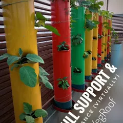 Our colorful towers not only help you grow vegetables but also add a decorative touch to your space. We provide full support and guidance virtually to help you succeed.