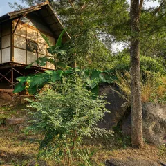 The completed prefab cottage nestled into a rocky, green landscape. The design shows how prefabricated structures can be beautifully integrated with nature, using stilts to minimize site disturbance.