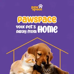 We are your pet's home away from home. This isn't just a tagline for us; it's our promise to provide a comfortable, loving, and familiar environment for every animal in our care.