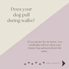Does your dog pull on the leash? Letting me know this, along with any training techniques you use, helps me manage walks effectively and safely.