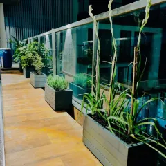 This third-floor deck was designed for comfort and conversation. We used durable, lightweight fibreglass planters with low-maintenance plants like Tuberose to create a simple, elegant space that is perfect for relaxing.