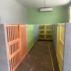 This is a view of our indoor suites during construction. They are designed to be safe, clean, and comfortable, giving each dog their own private space to rest.