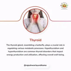 We treat common thyroid disorders like hypothyroidism and hyperthyroidism. Our treatments focus on regulating metabolic processes and restoring the proper function of the thyroid gland to improve energy and well-being.