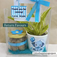 A clear view of the blue-themed return favor, which includes a spider plant and a jar of cookies, presented in a reusable clear bag with a personalized tag.
