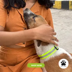 An image capturing a sweet moment between me and a dog wearing the neon green reflective collar. It shows how comfortable the collar is for the animal.