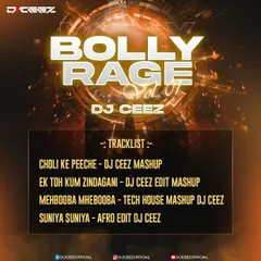 Here is the full tracklist for "Bolly Rage Vol. 1". It shows the variety of tracks I produced for the album, including a Tech House mashup of 'Mehbooba' and an Afro edit of 'Suniya Suniya'.