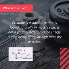 This graphic explains the basic definition of Creatine and its role in energy production during intense workouts.
