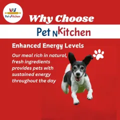 See the pure joy and energy in this running dog. My meals are rich in natural, fresh ingredients that provide sustained energy throughout the day, keeping your pet active and playful.