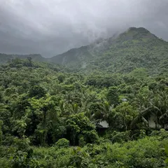 A new site, and the beginning of a new design conversation with the landscape. This view of a dense, misty forest in Maharashtra is the starting point for a home that will be born from this very environment.