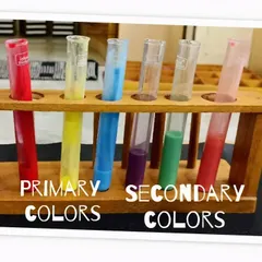 Our color mixing station, with test tubes of primary colors ready for experimentation. This visual setup invites children to predict what will happen when they mix the colors.