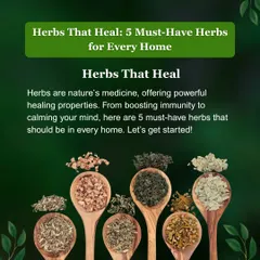 Your kitchen holds nature's medicine. This collection of spoons shows various healing herbs that I believe should be in every home, offering powerful properties for everything from boosting immunity to calming your mind.