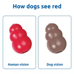 To us, this toy is bright red. But to a dog, it appears as a muted, brownish-grey color. This is because dogs lack red-green cone receptors in their eyes.