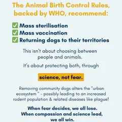 The science is clear and backed by the World Health Organization. The Animal Birth Control Rules recommend mass sterilization, mass vaccination, and returning dogs to their territories. This isn't about choosing between people and animals; it's about protecting both.