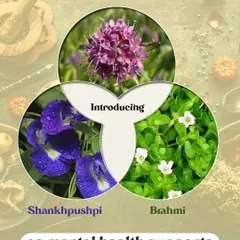 If you are feeling stressed or find it hard to focus, Ayurveda offers time-tested herbs for mental wellness. We introduce Brahmi to calm the nervous system, Shankhpushpi to improve focus, and Jatamansi to reduce anxiety and restlessness.