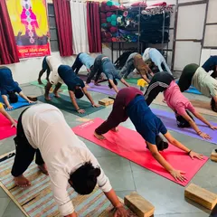 Students practice Adho Mukha Svanasana (Downward-Facing Dog) in our studio. This foundational pose is a part of almost every class, helping to build strength and lengthen the entire body.