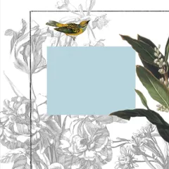 This digital collage, 'A Tonic Of Calm', was designed for a corporate cafeteria with a view of the Mumbai harbor. It combines botanical illustrations, bird motifs, and blocks of calming color to create a serene escape from the busy workday.