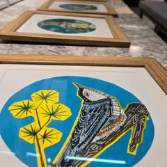 A close-up of framed pen-and-ink bird illustrations from Puja Kumari's "Vibing with Nature" collection, highlighting the intricate details and conservation theme.