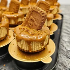 A close-up of a delicious Biscoff mini cheesecake, with a creamy texture and generous Biscoff topping.