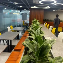 Greenery isn't just for workstations. We transformed this office cafeteria and breakout area with a long row of Aglaonema plants, creating a more relaxed and inviting atmosphere for employees to recharge during their breaks.